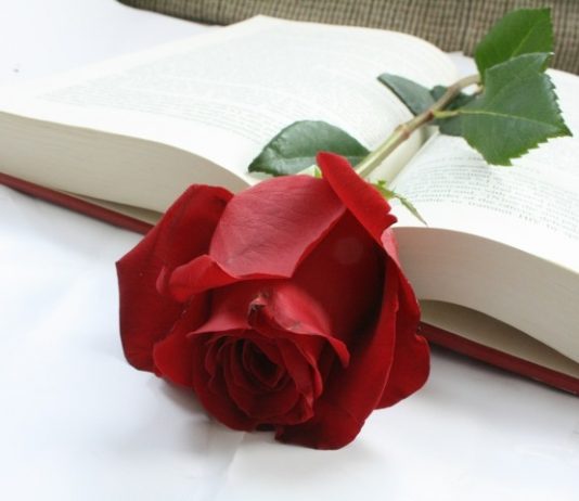 Por qué el Día del Libro se celebra el 23 de abril