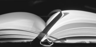 Poesía para “principiantes”