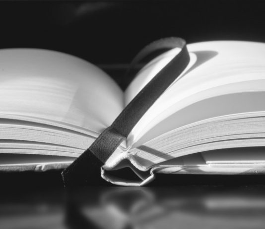 Poesía para “principiantes”