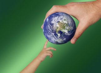 Semana del Medioambiente | Imosver.com